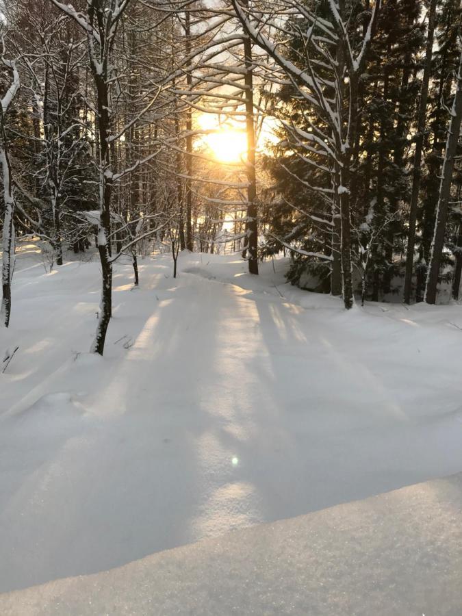Hakuba Cottage Gram Екстериор снимка