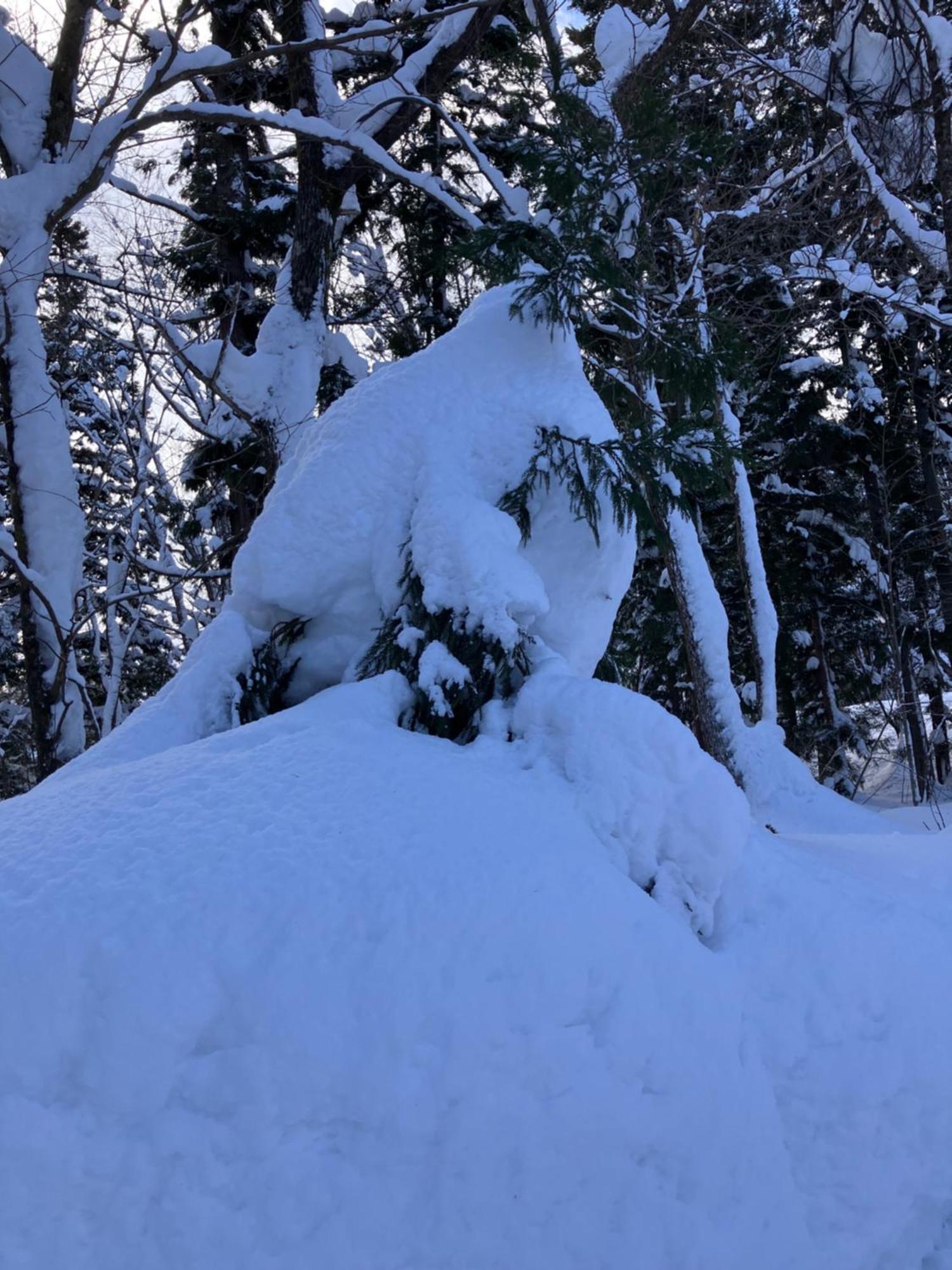 Hakuba Cottage Gram Екстериор снимка