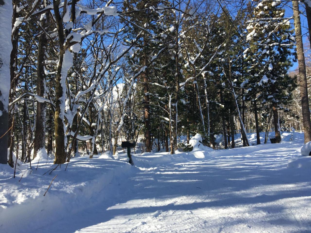 Hakuba Cottage Gram Екстериор снимка