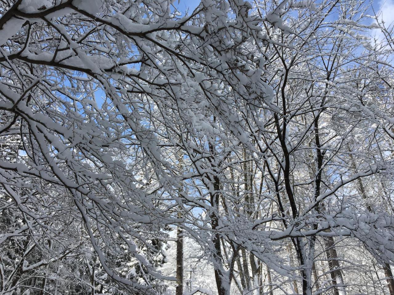 Hakuba Cottage Gram Екстериор снимка