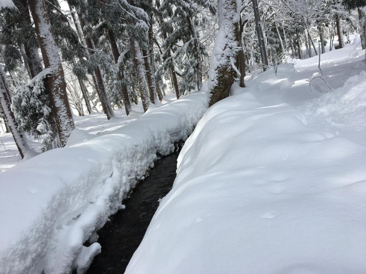 Hakuba Cottage Gram Екстериор снимка