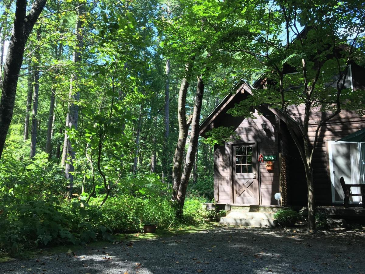 Hakuba Cottage Gram Екстериор снимка
