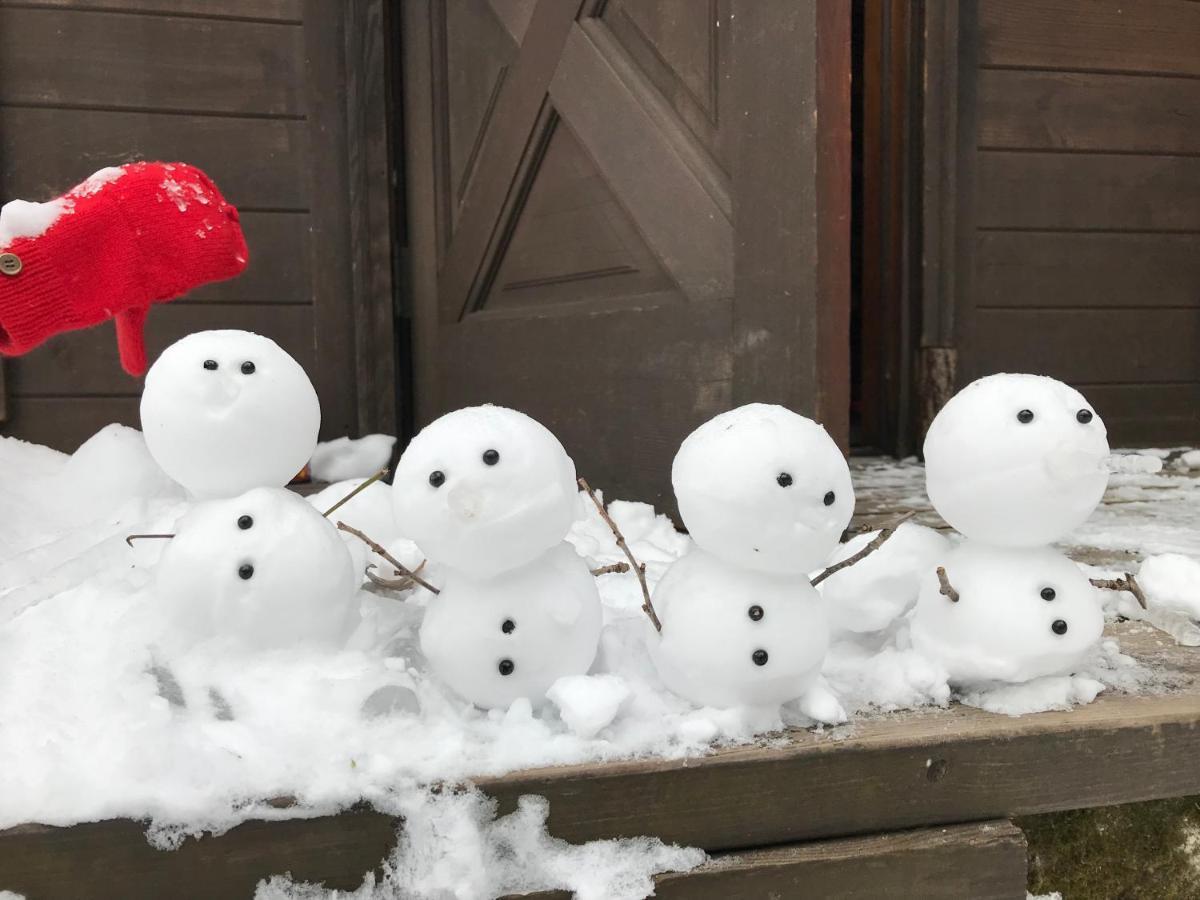Hakuba Cottage Gram Екстериор снимка